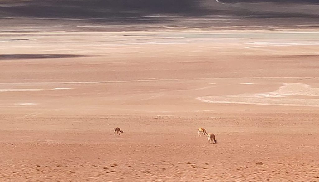 IMG_20250903_150225 IMG_20250903_150225