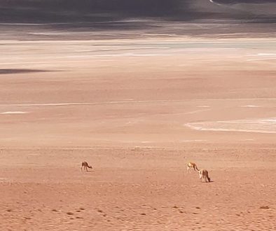 IMG_20250903_150225 IMG_20250903_150225